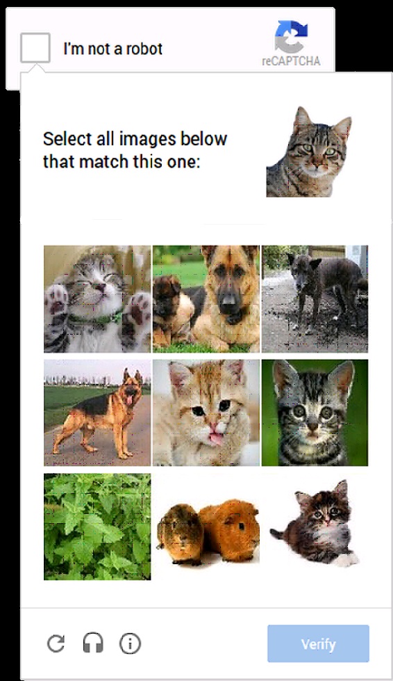 captcha-long-cat